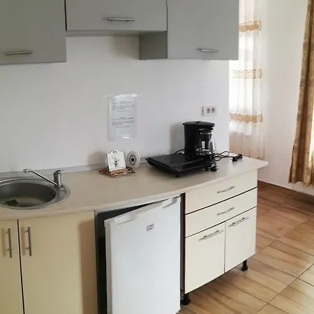 Antoniu 公寓 布拉索夫