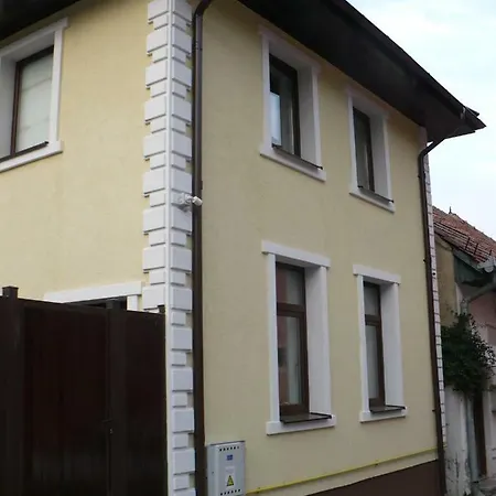 Antoniu 布拉索夫