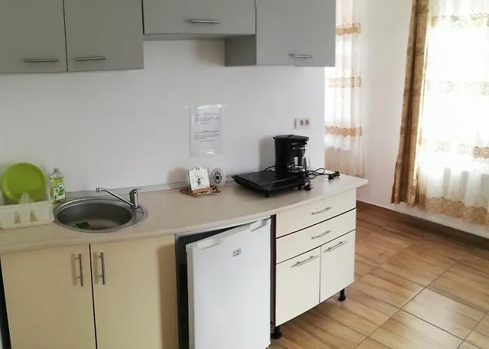 Antoniu 公寓 布拉索夫