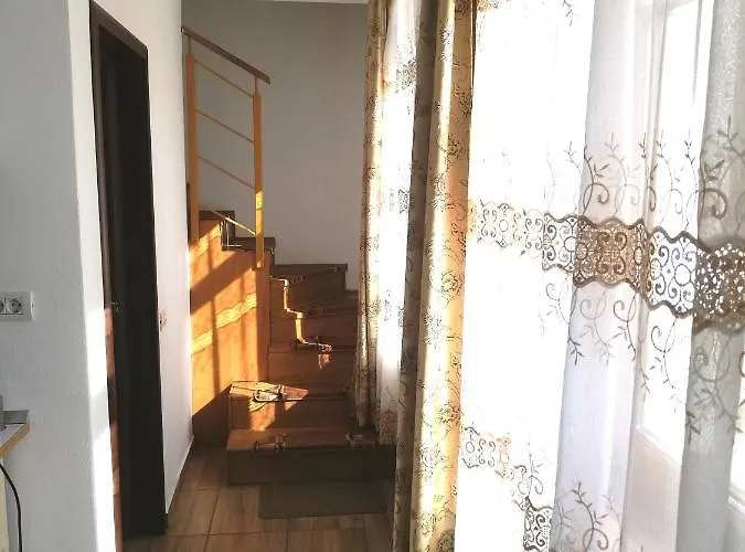 公寓 Antoniu 布拉索夫