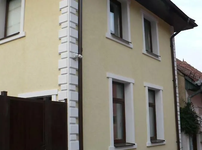 Antoniu 布拉索夫